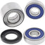 Rear Wheel Bearing Kit #2 ALL BALLS ALL BALLS MOTOVEIKALS 21