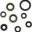 Seal Oil Set Kawasaki MOOSE RACING HARD-PARTS MOOSE RACING MOTOVEIKALS 21