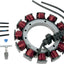 Stator 99-03Fxd(29951-99) DRAG SPECIALTIES DRAG SPECIALTIES MOTOVEIKALS 21
