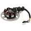 Stators 2T MINARELLI REPLICA MOTOVEIKALS 21