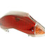 tail light assy red / white for MBK Mach G, Yamaha Jog 50 RR VPARTS MOTOVEIKALS 21