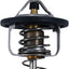 Thermostat Polaris ALL BALLS ALL BALLS MOTOVEIKALS 21