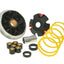 variator Malossi Multivar for Suzuki (99-) MALOSSI MOTOVEIKALS 21
