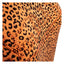 Von Dutch Fluide female t-shirt orange VON DUTCH MOTOVEIKALS 21