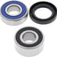 Wheel Bearing Kit 25-1020 ALL BALLS ALL BALLS MOTOVEIKALS 21