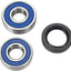 Wheel Bearing Kit 25-1261 ALL BALLS ALL BALLS MOTOVEIKALS 21